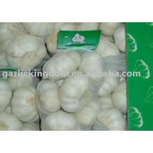 Sell 250g mesh bag pure white garlic